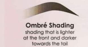 ombre shading for eyebrows jupiter fl